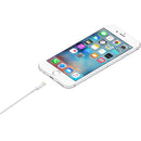 Apple Lightning to USB-A Cable 1m (Apple MFi Certified)